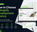 Shopify Development Agency